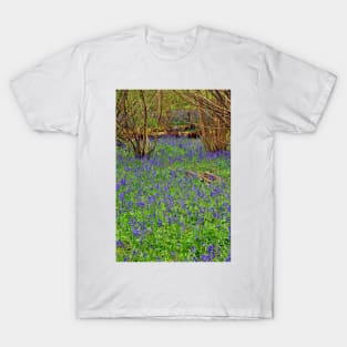 Bluebell Woods Basildon Park Reading UK T-Shirt